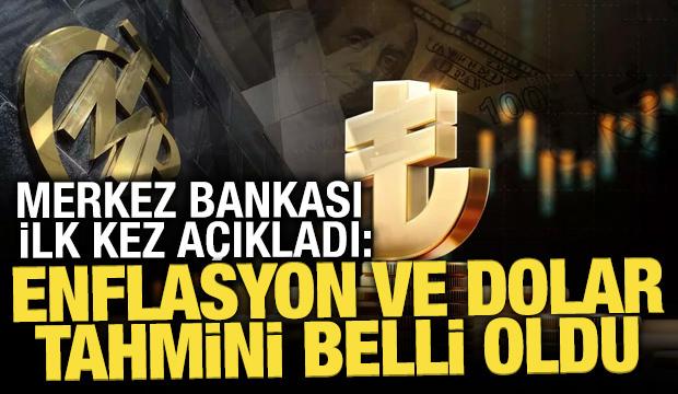 Merkez Bankası ilk kez a&ccedil;ıkladı: Vatandaşın enflasyon ve dolar tahmini belli oldu
