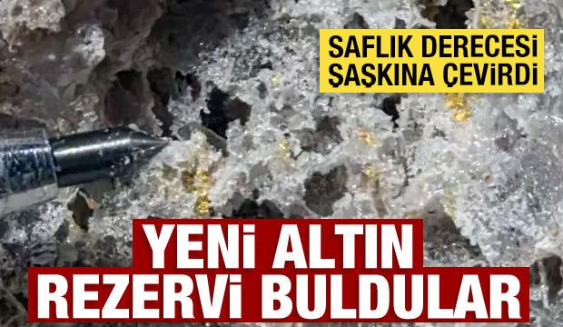Yeni altın rezervi buldular! End&uuml;stri standartlarının &uuml;zerinde saflığa sahip