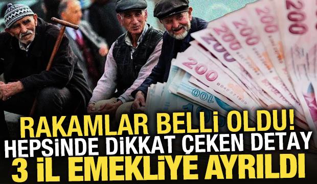 Zonguldak, Sinop ve Balıkesir'de emekli sayısı &ccedil;alışanlardan fazla