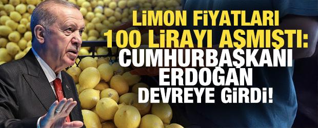 Limon fiyatları 100 lirayı aşmıştı! Cumhurbaşkanı Erdoğan devreye girdi