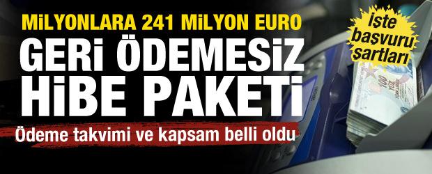 241 milyon euro hibe desteği! &Ouml;deme takvimi ve kapsam belli oldu"