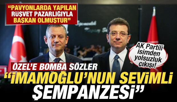 AK Partili isimden &Ouml;zg&uuml;r &Ouml;zel'e bomba s&ouml;zler: İmamoğlu'nun sevimli şempanzesi