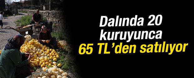 Dalında 20, kuruyunca 65 TL'den satılıyor