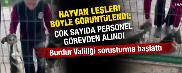 Barınakta i&ccedil; sızlatan g&ouml;r&uuml;nt&uuml;! Burdur Valiliği soruşturma başlattı 
