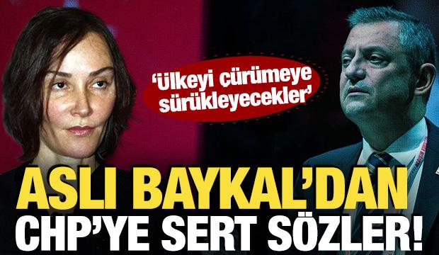 Aslı Baykal'dan CHP'ye sert s&ouml;zler! '&Uuml;lkeyi &ccedil;&uuml;r&uuml;meye s&uuml;r&uuml;kleyecekler'