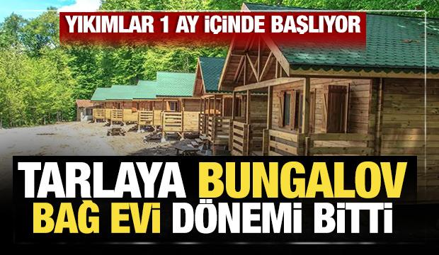 Tarlaya bungalov bağ evi d&ouml;nemi bitti: Yıkımlar 1 ay i&ccedil;inde başlıyor