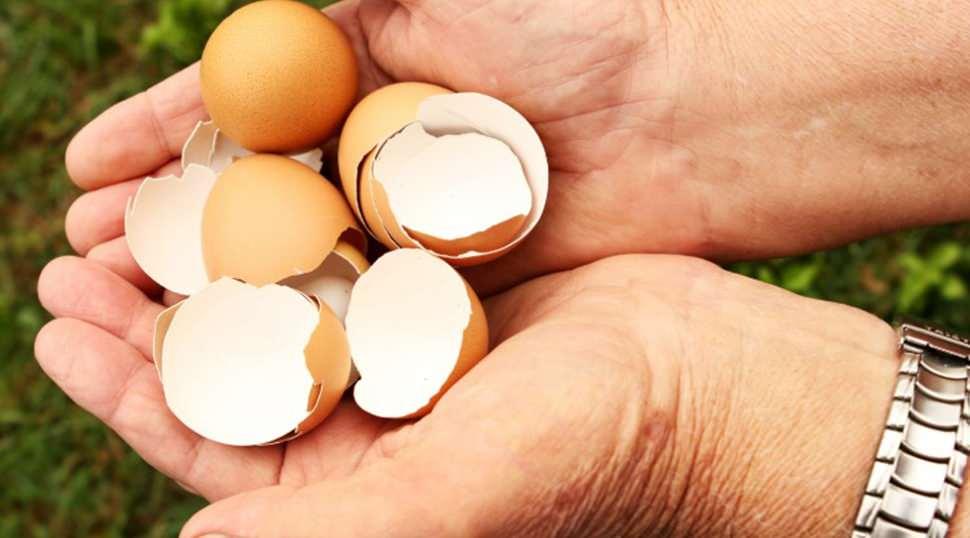 Yumurta kabuğu t&uuml;ketimi trend oldu! Uzmanlar &ouml;nemli uyarılarda bulundu
