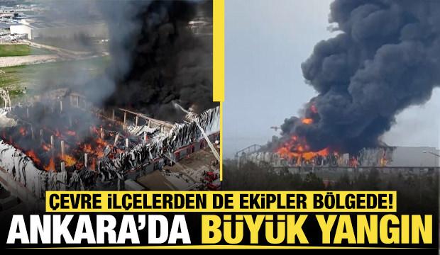 Ankara'da b&uuml;y&uuml;k yangın! &Ccedil;evre il&ccedil;elerden de ekipler b&ouml;lgede!