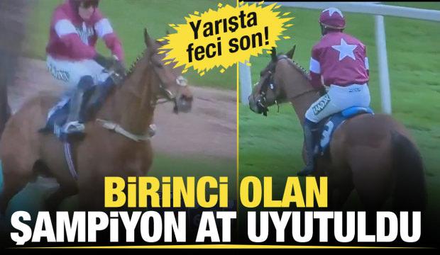 İngiltere'deki at yarışlarında feci son: Birinci olan şampiyon at uyutuldu