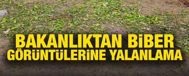 Ticaret Bakanlığı'ndan biber g&ouml;r&uuml;nt&uuml;lerine yalanlama