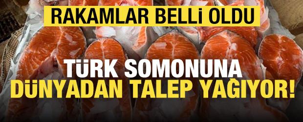 T&uuml;rk somonuna talep b&uuml;y&uuml;k! 91 milyon doları aştı