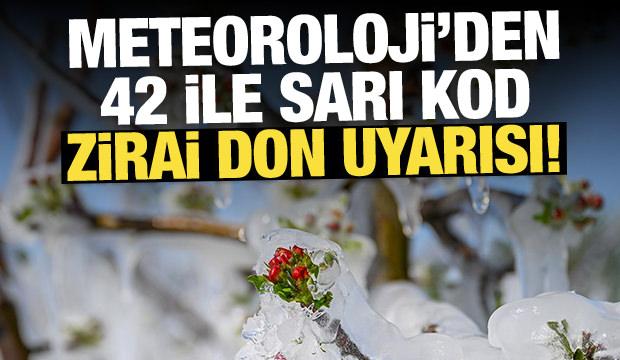 Zirai don uyarısı geldi: Meteoroloji'den 42 ile sarı kod!