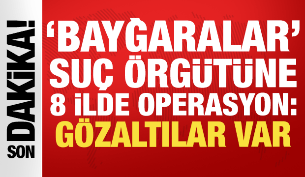 'Bayğaralar' su&ccedil; &ouml;rg&uuml;t&uuml;ne 8 ilde operasyon: G&ouml;zaltılar var