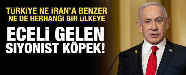 Eceli gelen Siyonist k&ouml;pek!..