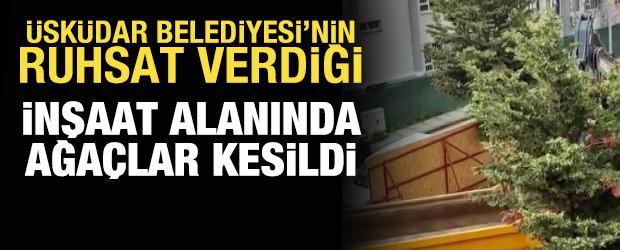  &Uuml;sk&uuml;dar Belediyesi'nin ruhsat verdiği inşaat alanında ağa&ccedil;lar kesildi
