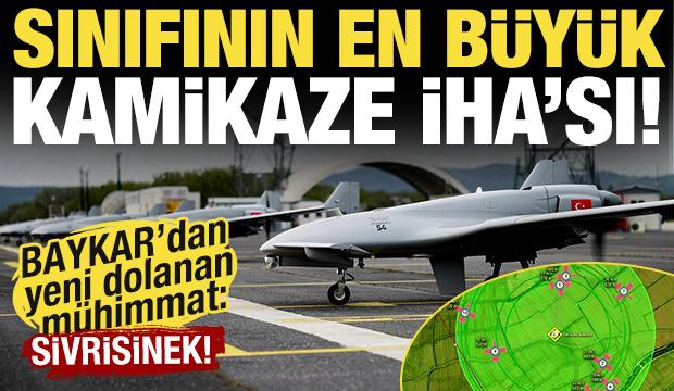 BAYKAR'dan yeni dolanan m&uuml;himmat! Sivrisinek sahneye &ccedil;ıktı!