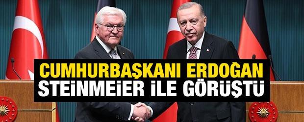 Cumhurbaşkanı Erdoğan, Steinmeier ile g&ouml;r&uuml;şt&uuml;
