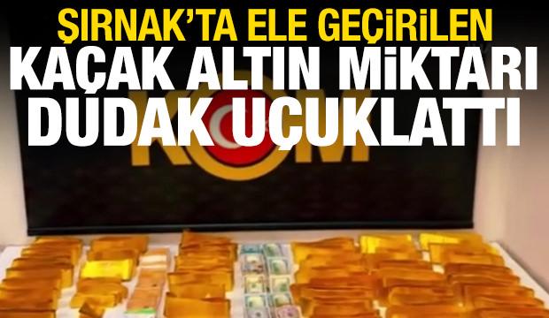 Şırnak'ta ele ge&ccedil;irilen ka&ccedil;ak altın, dolar ve euro miktarı dudak u&ccedil;uklattı
