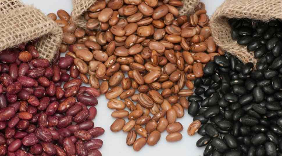 100 yaşını aşanların ortak sırrı bu besinde gizli!