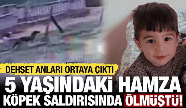 5 yaşındaki Hamza'nın k&ouml;pek saldırısına uğradığı anlar kamerada