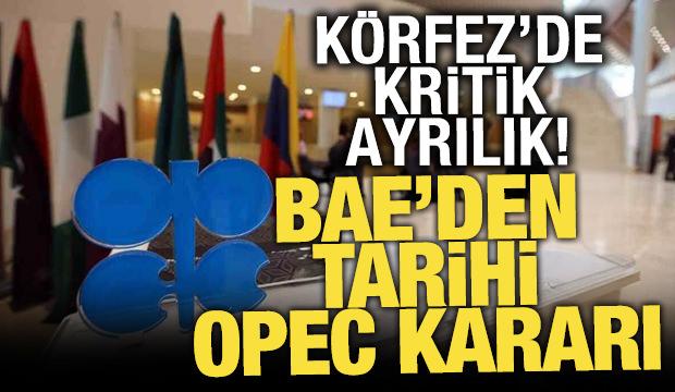 BAE, OPEC'ten ayrılma kararı aldı