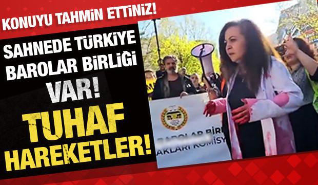 Başıboş k&ouml;pekler i&ccedil;in toplanılan eylemde bir kadının tuhaf hareketleri g&uuml;ndem oldu!