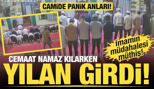 Hindistan'da camide namaz sırasında ortaya &ccedil;ıkan yılanı imam kıskıvrak yakaladı