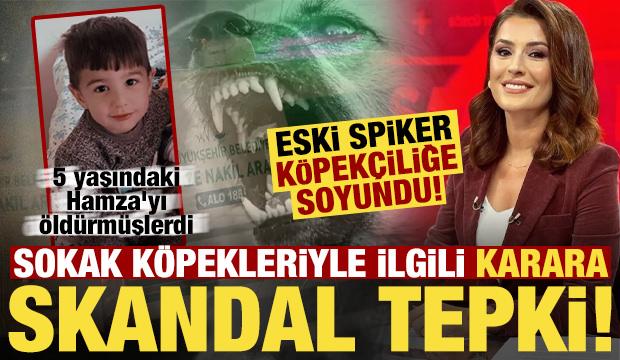 K&ouml;pekler 5 yaşındaki Hamza'yı &ouml;ld&uuml;rd&uuml;, eski spiker k&ouml;pek&ccedil;iliğe soyundu!
