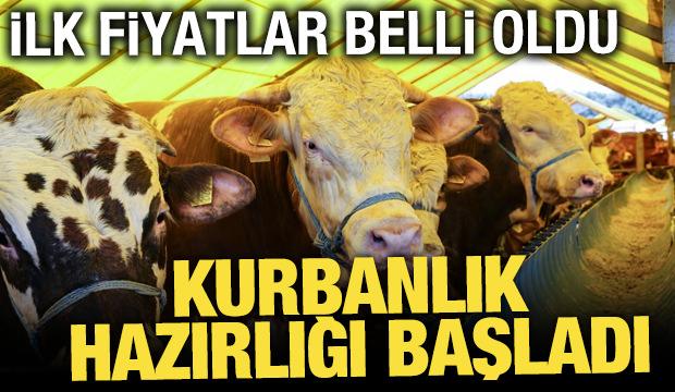 Kurban pazarında hareketlilik başladı