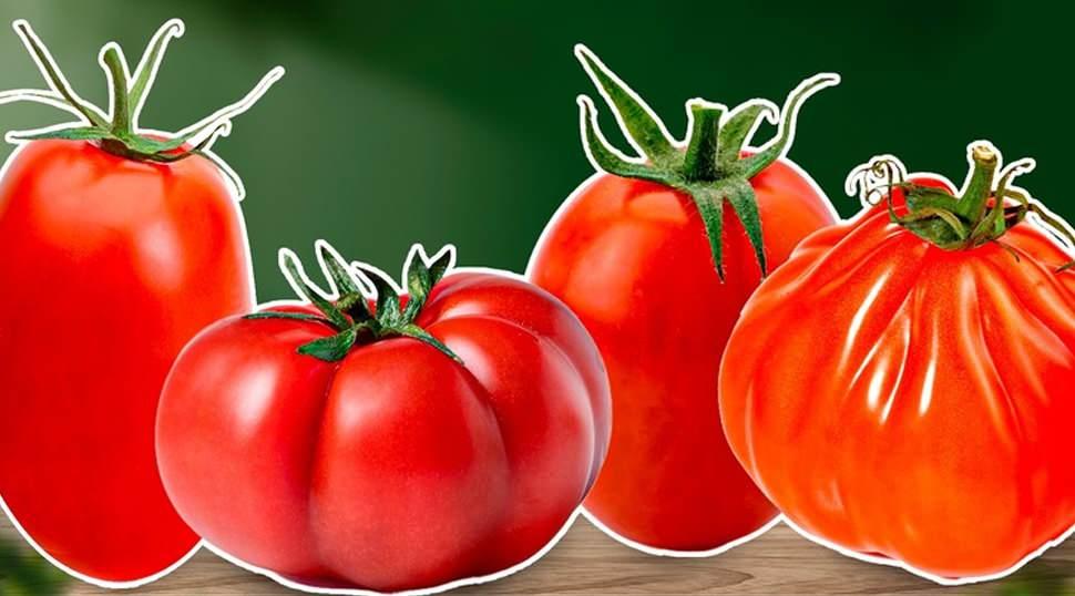 TasteAtlas, d&uuml;nyanın en iyi domateslerini a&ccedil;ıkladı! T&uuml;rkiye yine farkını ortaya koydu
