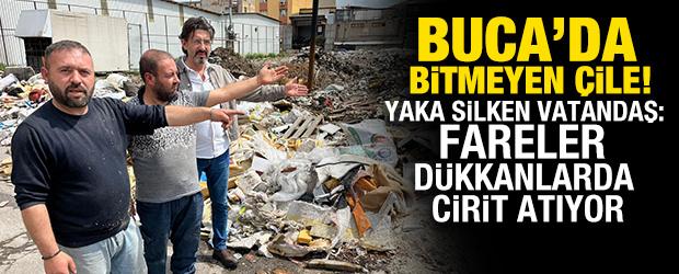 Buca'nın bitmeyen &ccedil;&ouml;p &ccedil;ilesi! Yaka silken vatandaş: Fareler d&uuml;kk&acirc;nlarda cirit atıyor