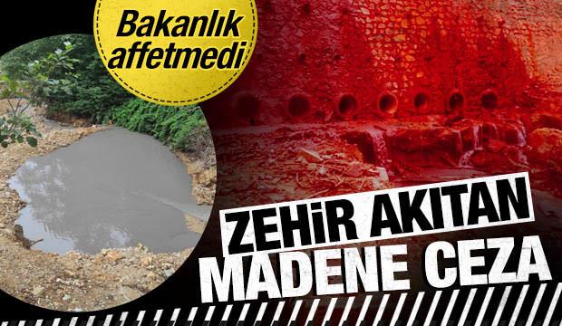 Giresun'da dereyi kirleten maden ocağına 2,5 milyon lira ceza 