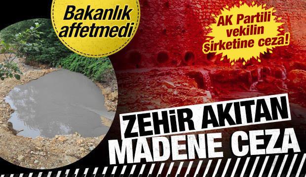 Giresun'da dereyi kirleten maden ocağına 2,5 milyon lira ceza 
