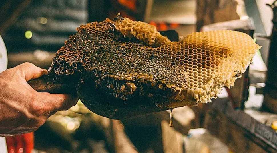 Sadece T&uuml;rkiye'de var: Guinness Rekorlar'a adını yazdırdı kilosu 264 bin TL!
