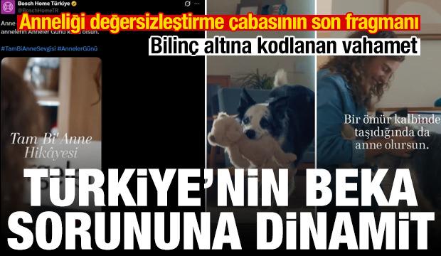 Sokak k&ouml;pekleri, evlatlarımız ve &ldquo;Anne&rdquo;liğin tanımını zorlamaya kalkışmak