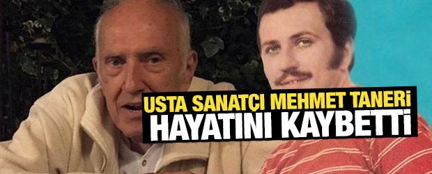 Usta sanat&ccedil;ı Mehmet Taneri hayatını kaybetti