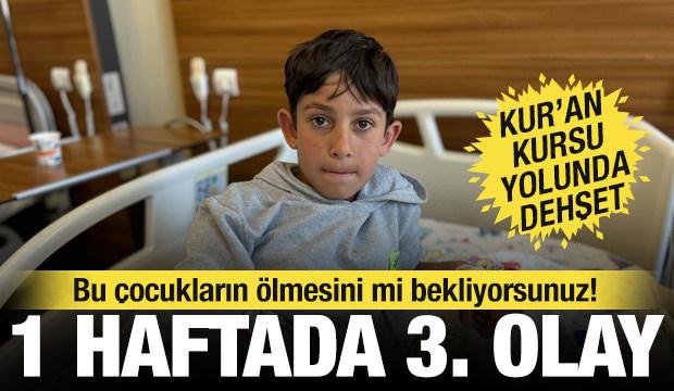 Van'da bir hafta arayla 3'&uuml;nc&uuml; k&ouml;pek saldırısı: Yasa var, uygulayan yok&hellip;
