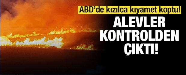 Alevlere teslim olan Florida'da yangın kontroldenj &ccedil;ıktı 20 bin d&ouml;n&uuml;m alan k&uuml;le d&ouml;nd&uuml;