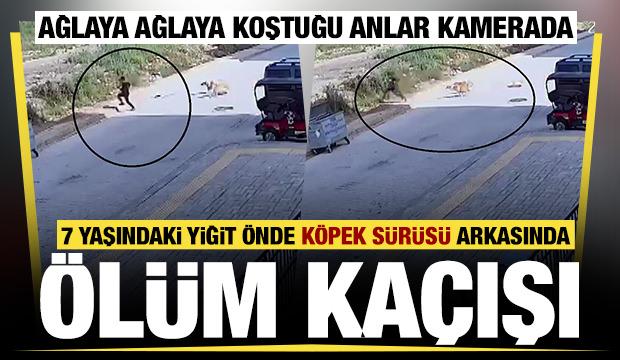 Hatay'da 7 yaşındaki &ccedil;ocuğun başıboş sokak k&ouml;peklerinden ka&ccedil;tığı anlar kamerada 