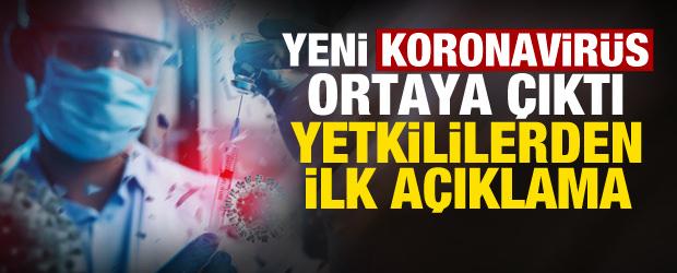 Kovid sonrası yeni vir&uuml;s şoku! Yarasalarda tespit edildi
