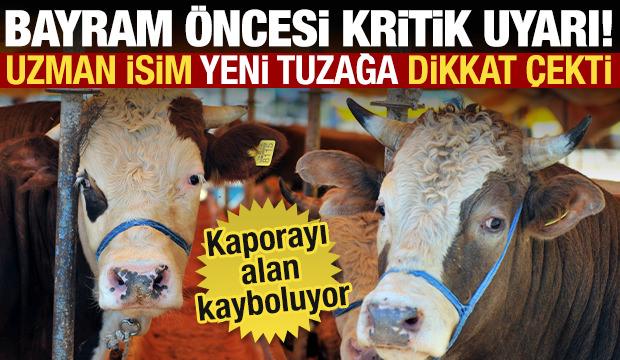Kurban Bayramı &ouml;ncesi kritik uyarı: Yeni tuzak 'pes' dedirtti!