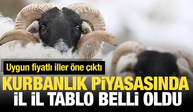 Kurbanlık piyasasında dikkat &ccedil;eken tablo: Uygun fiyatlı iller &ouml;ne &ccedil;ıktı