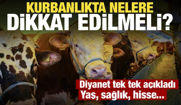 Kurbanlıkta yaş, sağlık ve hisse şartı! Diyanet a&ccedil;ıkladı: İşte 5 kritik kural