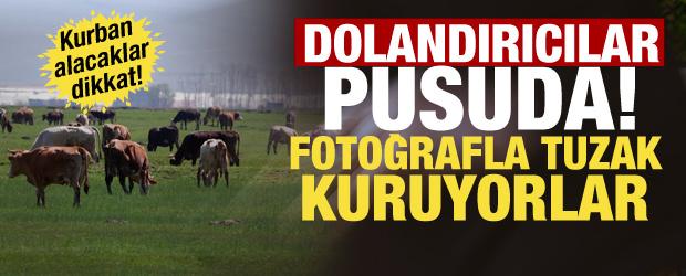 Kurbanlıkta yeni dolandırıcılık y&ouml;ntemi: Fotoğrafla tuzak kuruyorlar