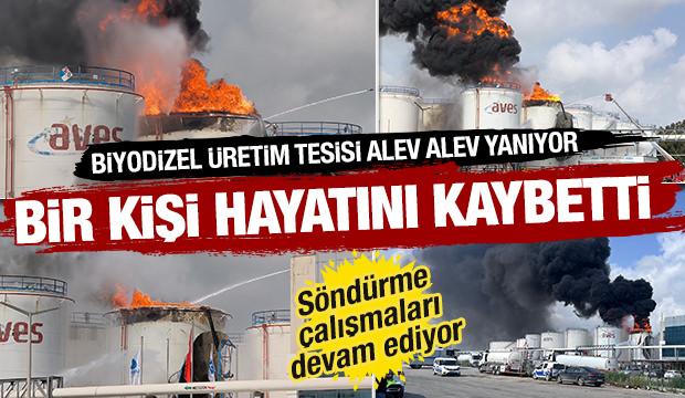 Mersin'de korkutan yangın: Biyodizel &uuml;retim tesisinde alevler y&uuml;kseliyor