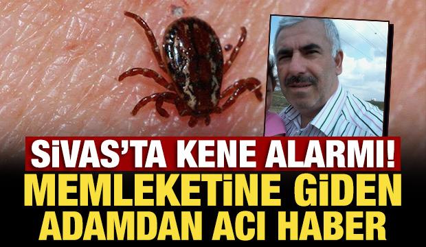 Sivas&rsquo;ta kene alarmı! İstanbul&rsquo;dan memleketine gitti, acı haber geldi