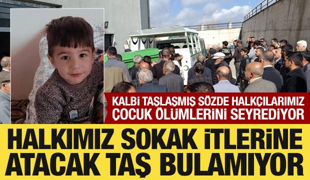 Taşları bağlamış k&ouml;pekleri salmışlar