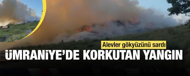 &Uuml;mraniye&rsquo;de korkutan yangın: Hayvan barınağı yakınında alevler y&uuml;kseldi