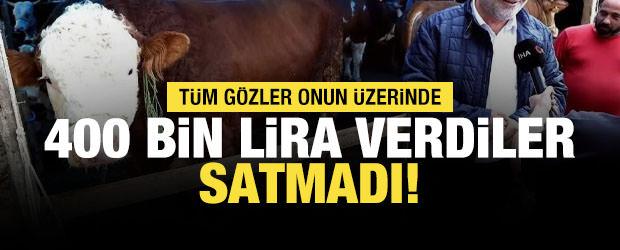 400 bin lira verdiler satmadı! Tam tamına 1 ton 300 kilogram