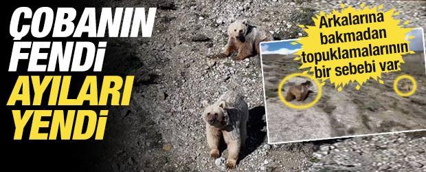 Erzincan'da &ccedil;obanın teknolojik &ccedil;&ouml;z&uuml;m&uuml;: S&uuml;r&uuml;ye yaklaşan ayıları dronla kovaladı